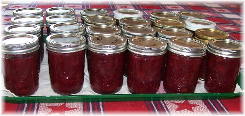 Freshly canned strawberry/rhubarb jam