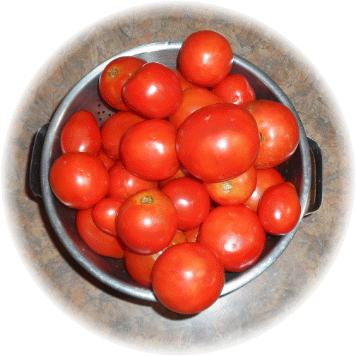 2013 salsa canning