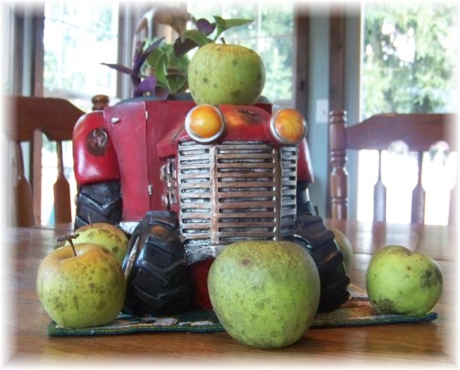 Tractor flower planter with apples