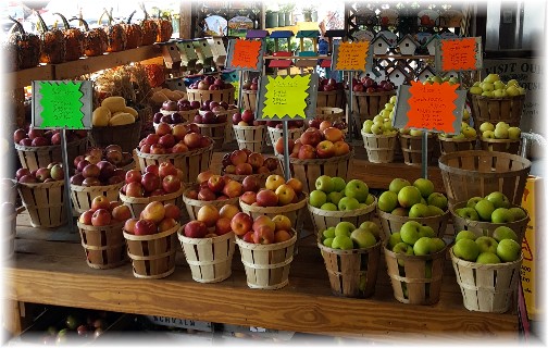 Village Farm Market apples 9/21/17