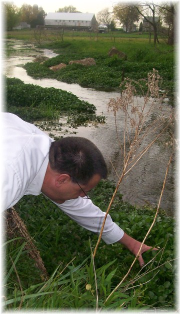 Collecting watercress 4/15/12