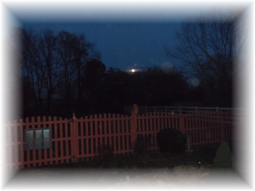 Backyard moonrise 11/16/13