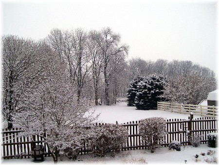 Snow in backyard 2/3/10