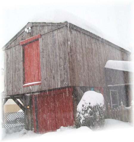 Barn in snow 2/10/10