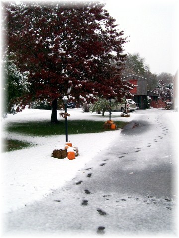 First seasonal snow driveway view 10/29/11