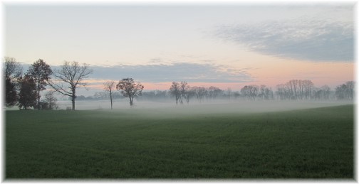 Foggy morning scene 11/16/13