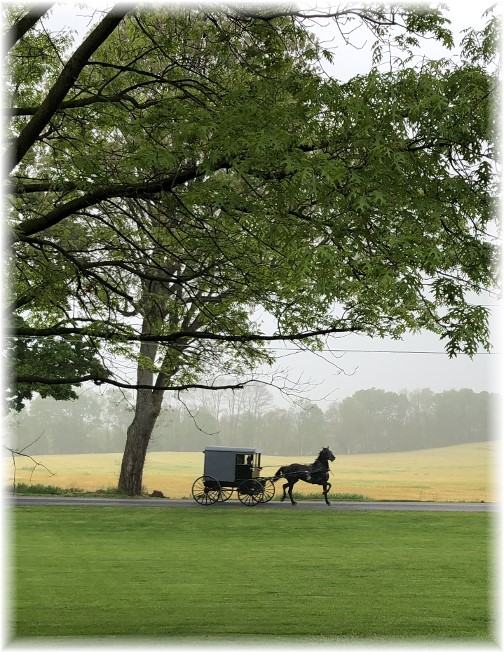 Foggy Mother's Day morning 5/13/18