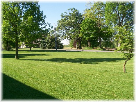 Green grass on May 4, 2010