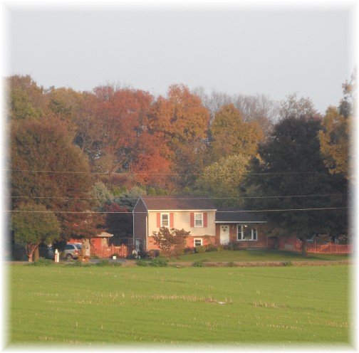 View of our home across field 10/29/13