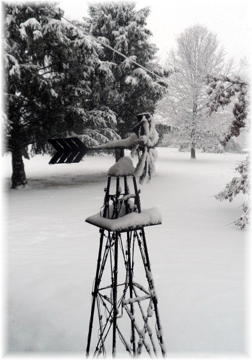 Home windmill in snow 2/3/14
