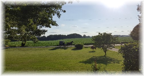 View from front porch 7/1/16