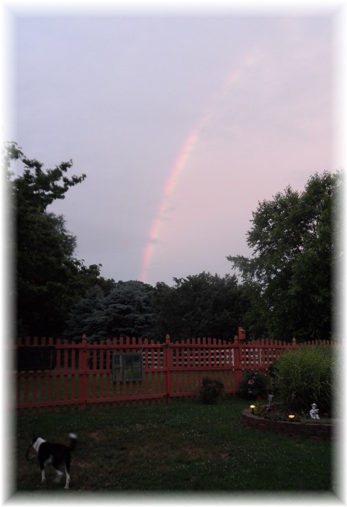 Backyard rainbow 7/2/13