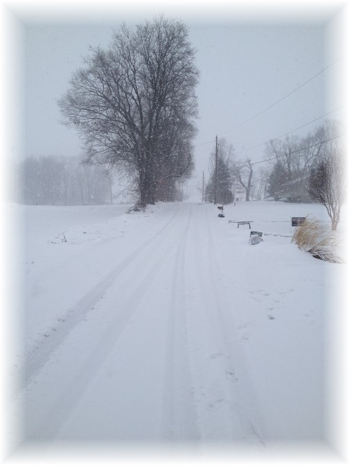 View up Kraybill Church Road during snow storm 3/5/15