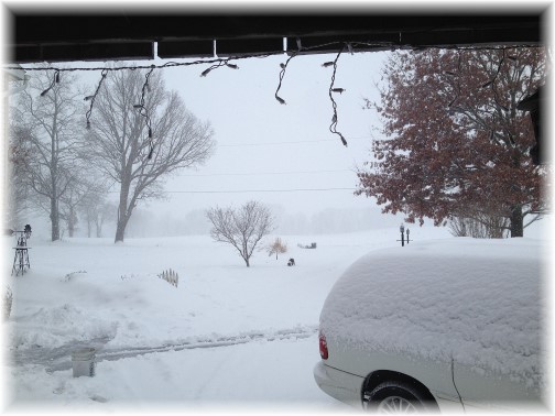 View out from barn door during snow storm 3/5/15