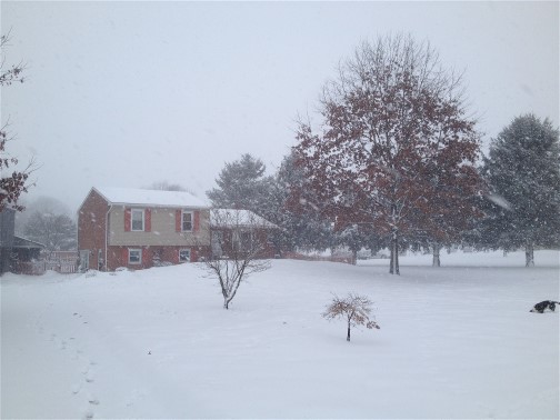 Home photo during snow storm 3/5/15