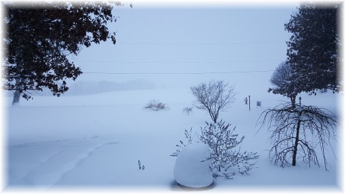 Snow storm front view 1/23/16