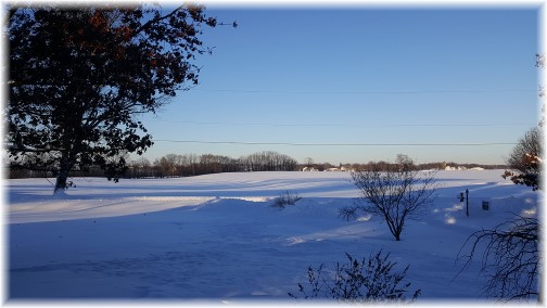 Snowy front view 1/24/16