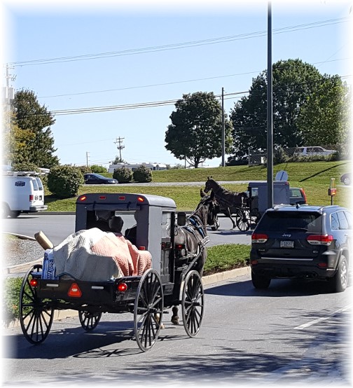 Amish Costco traffic 10/5/16