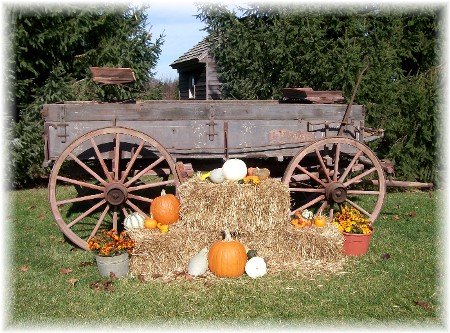 Autumn wagon, Lancaster Country PA