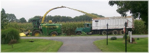 Corn harvest 9/2/11 Lancaster County PA