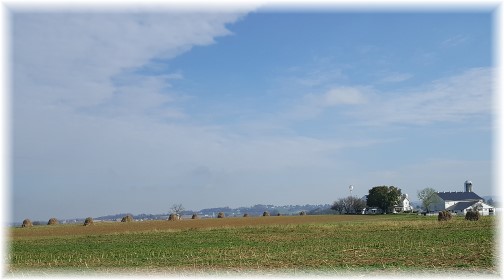 Mennonite farm with corn shocks 11/2/17 (Click to enlarge)
