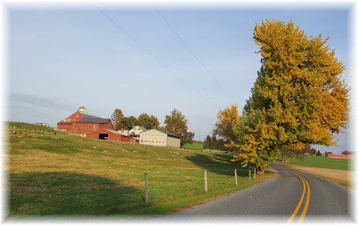 Country Log House Farm 11/3/17 (Click to enlarge)