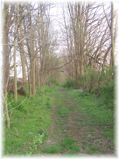 Donegal trail 3/28/12