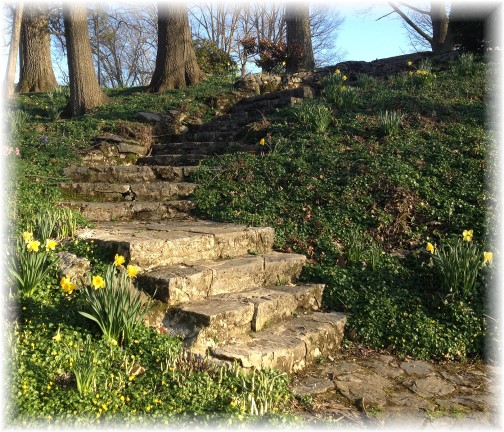 Donegal Springs steps, Lancaster County, PA 4/20/14 (Click to enlarge)