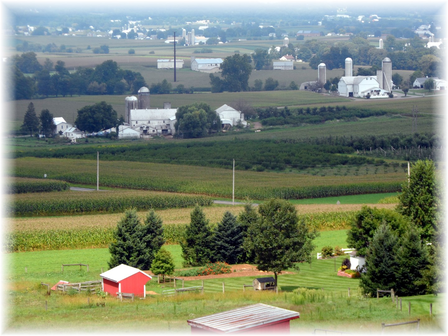 Daily Encouragement (Archive Edition)