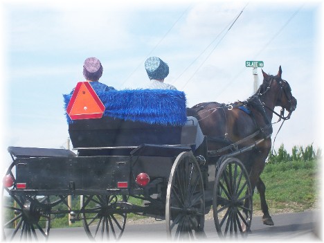 Fancy buggy in Lancaster County PA