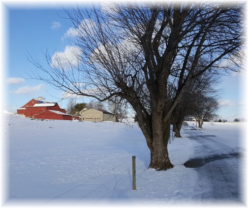 Flory farm 2/11/16 (Click to enlarge)