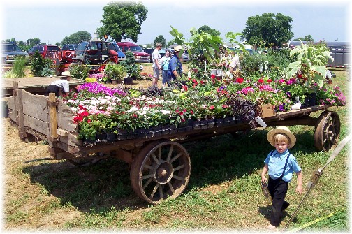 Flower wagon at the Lancaster County Carriage & Antique Auction in Bird In Hand PA.