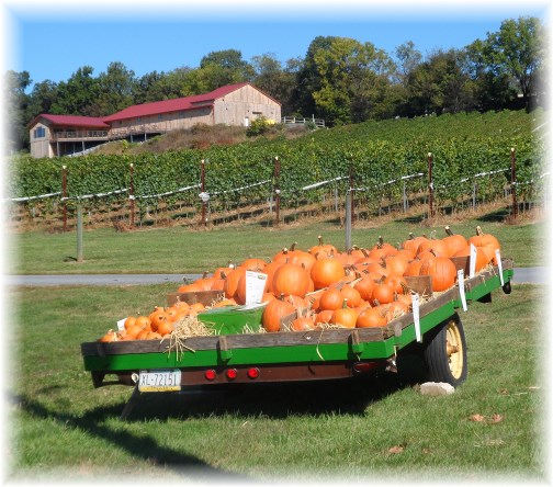 Pumpkin wagon on Grandview Road 9/24/13