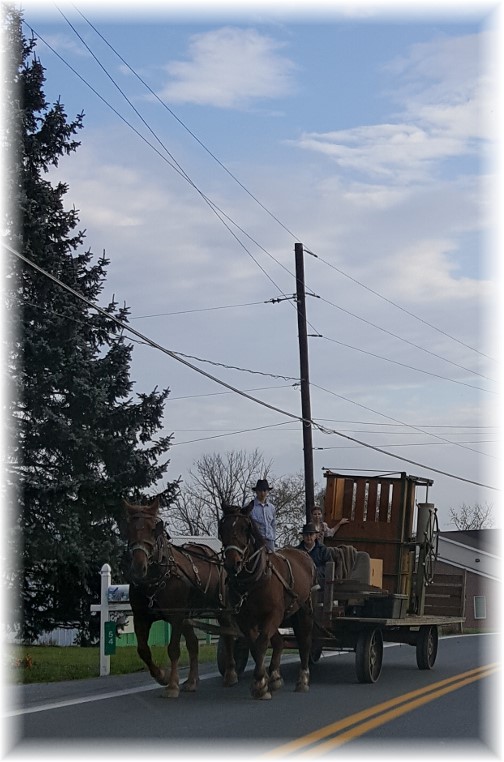 Hahnstown Road wagon team 11/2/17 (Click to enlarge)