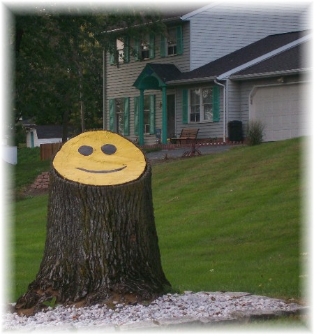 Happy face tree stump