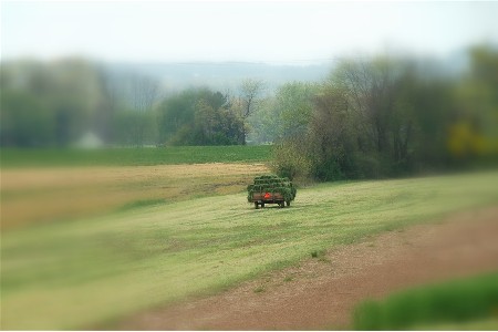 Hay wagon (photo by Doris High)