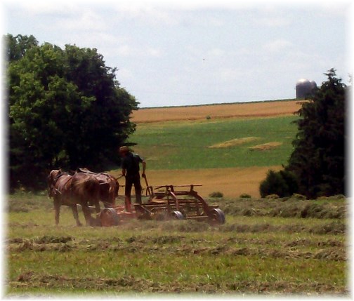 Lancaster County PA Amish hay harvest 6/22/13