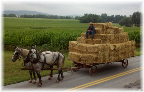Mennonite hay wagon 7/20/12