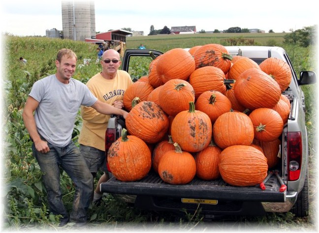 Joe Snavely, pumpkin harvest, Lancaster County, PA