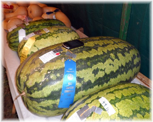 Giant watermelon at Lampeter Fair 2012
