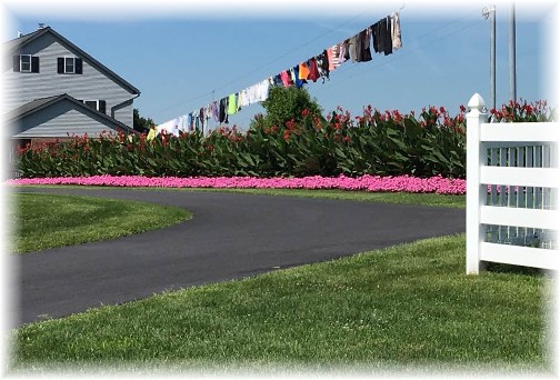 Lancaster County clothesline (Click to enlarge)