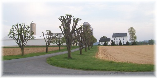 Lancaster County Farm (Airport Road)