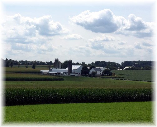 Lancaster County farm 8/27/17 (Click to enlarge)