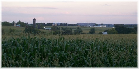 Rural scene in Lancaster County PA 7/29/10