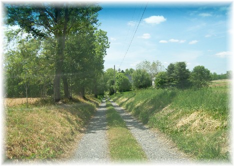 Long gravel farm lane
