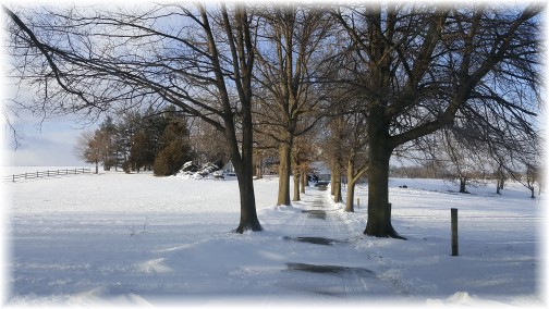 Long farm lane off Gibble Road, Lancaster County, PA 2/11/16 (Click to enlarge)