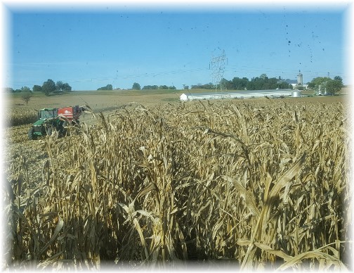 Lancaster County corn harvest 10/12/16