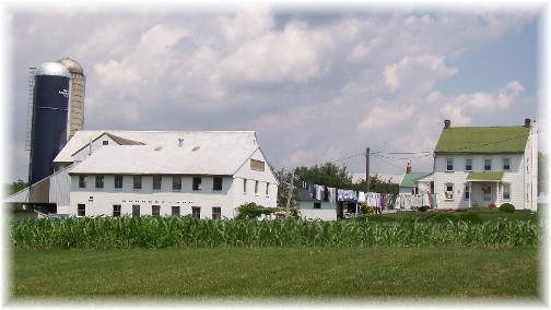 Farm scene near Martindale, PA 6/24/11