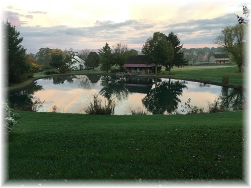 Meadow View Road pond 10/10/17 (click to enlarge)