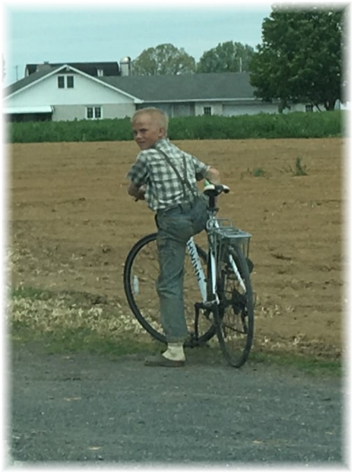 Mennonite boy on bike 5/4/17